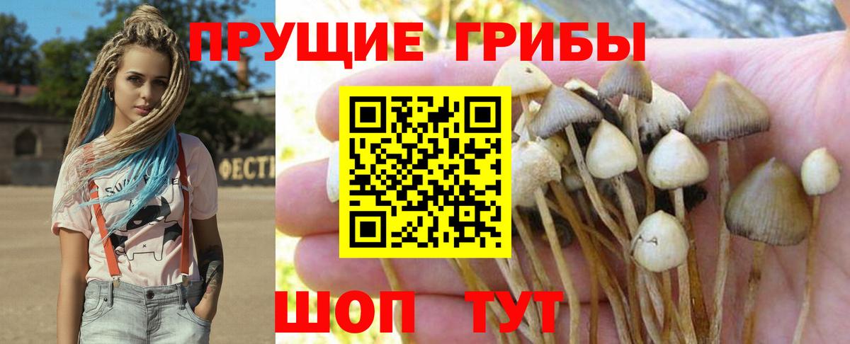 Канабис Заинск